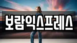 보람익스프레스