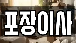 포장이사