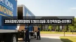 강아지파양고양이파양유기견보호소실종구조안락사없는보호센터
