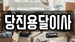 당진용달이사