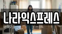 나라익스프레스
