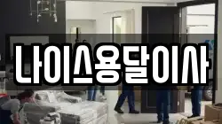 나이스용달이사
