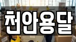 천안용달