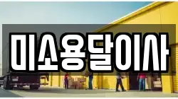 미소용달이사
