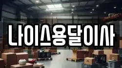 나이스용달이사