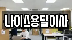 나이스용달이사