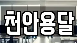 천안용달