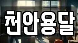 충청남도 아산시 신동 이사,포장이사,반포장이사,원룸이사,사무실이사,용달이사,전국이사,보관이사