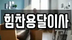 힘찬용달이사