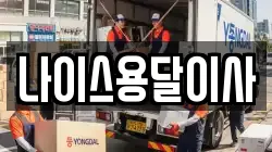 나이스용달이사