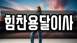 힘찬용달이사