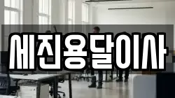 세진용달이사
