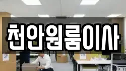 천안원룸이사
