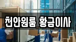천안원룸 황금이사
