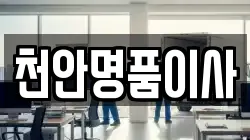 천안명품이사