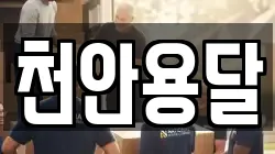 천안용달