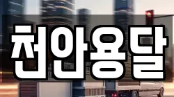 충청남도 천안시 동남구 동면 이사,포장이사,반포장이사,원룸이사,사무실이사,용달이사,전국이사,보관이사
