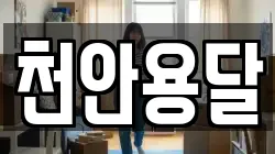 천안용달