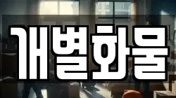 개별화물