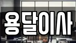 용달이사