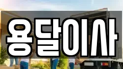 용달이사