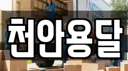 천안용달