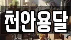 천안용달