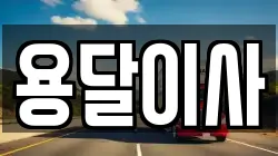 용달이사