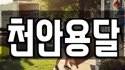 충청남도 천안시 동남구 유량동 이사,포장이사,반포장이사,원룸이사,사무실이사,용달이사,전국이사,보관이사