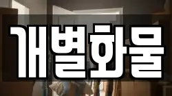 개별화물