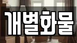 개별화물