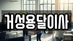 거성용달이사