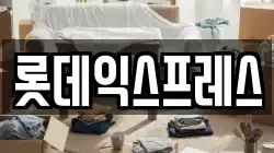 롯데익스프레스