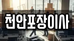 천안포장이사