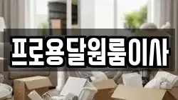 프로용달원룸이사