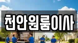 천안원룸이사