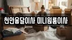 천안용달이사 미니원룸이사