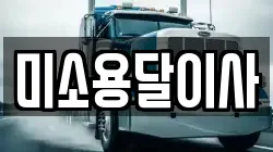 미소용달이사