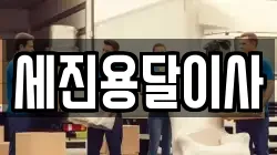 세진용달이사