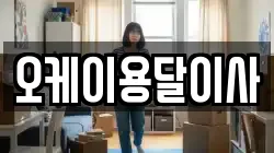 오케이용달이사