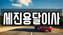 세진용달이사