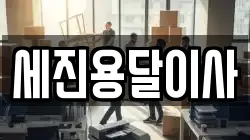 세진용달이사