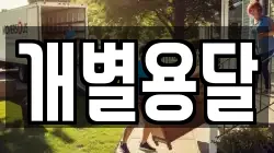 개별용달