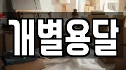 개별용달
