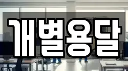 개별용달
