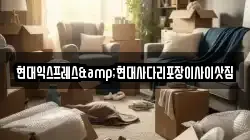 현대익스프레스&현대사다리포장이사이삿짐