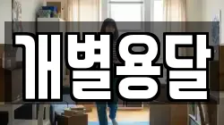 충청북도 제천시 청전동 이사,포장이사,반포장이사,원룸이사,사무실이사,용달이사,전국이사,보관이사