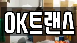 OK트랜스