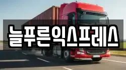 늘푸른익스프레스