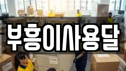 부흥이사용달